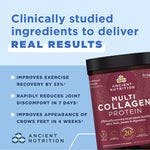 Image 5 of Multi Collagen Protein Powder Chocolate - DR Exclusive Offer