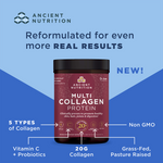 Image 4 of Multi Collagen Protein Powder Vanilla - 3 Pack - DR Exclusive Offer