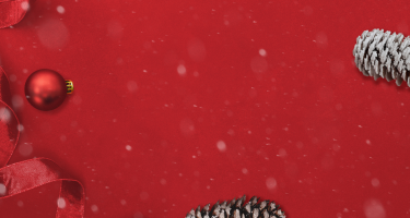 red holiday backdrop