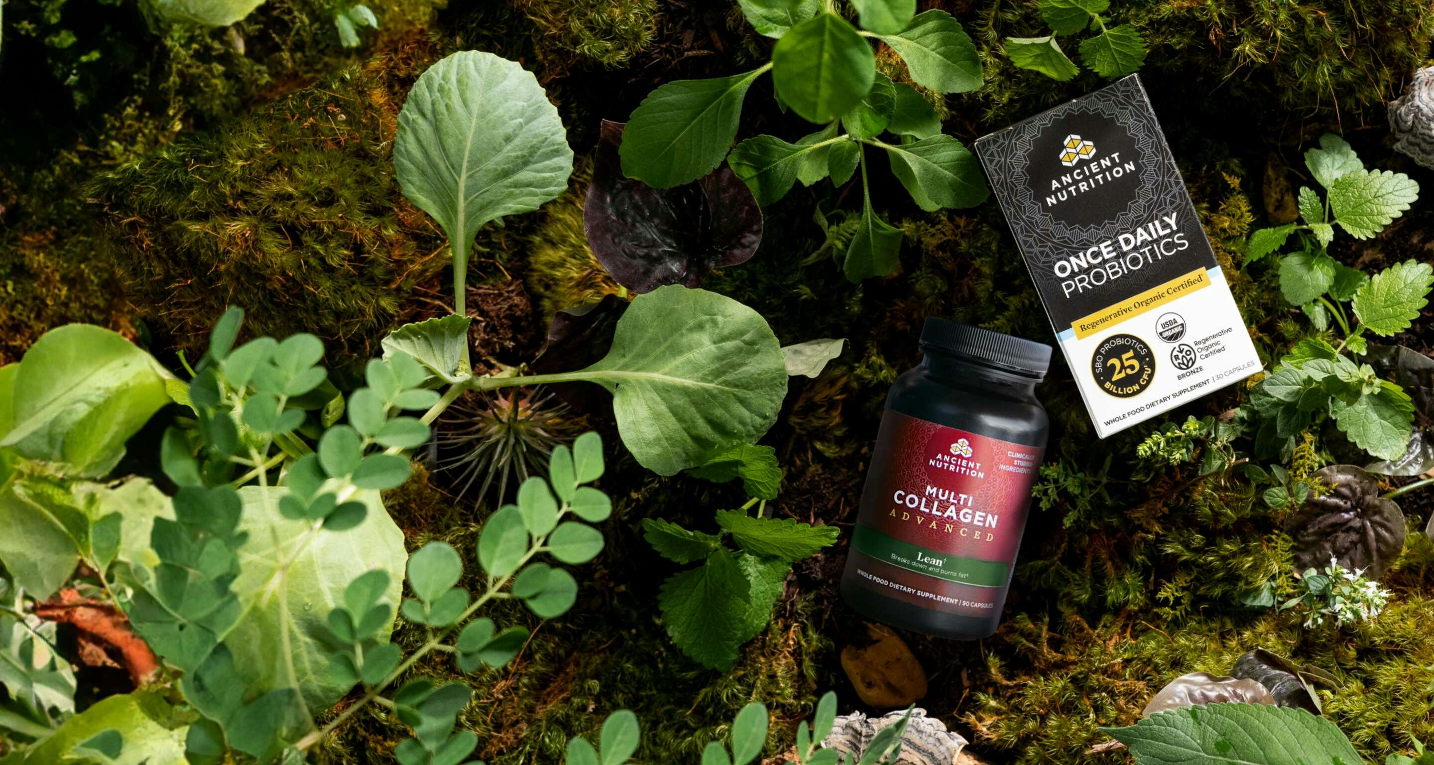 Ancient Nutrition Regenerative Organic Certified Once Daily Probiotics and Multi Collagen Advanced Lean Capsules on a forest ground.
