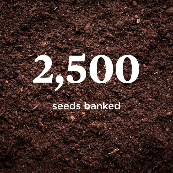 2,500 seeds banked