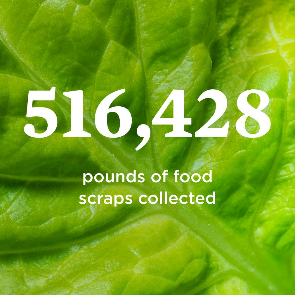 516,428 pounds of food scraps collected