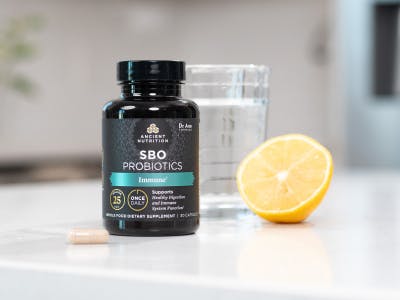 SBO probiotics once daily Immune bottle on a counter