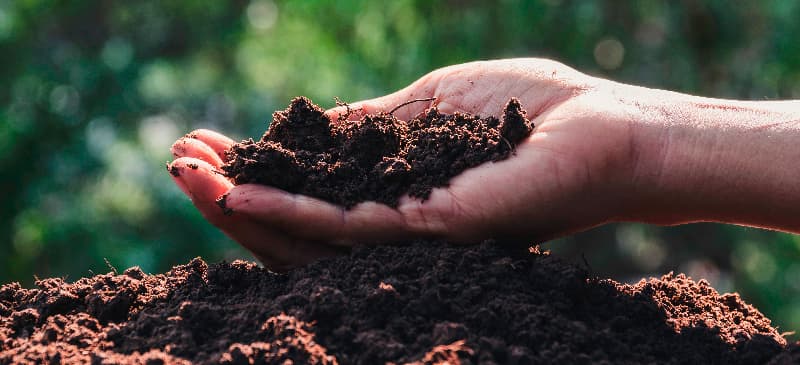 Home Composting for Beginners